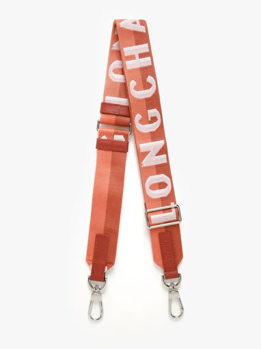 Longchamp Bandoulire ombre Juwelen Bruin