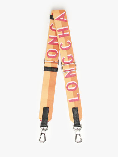 Longchamp Bandoulire ombre Juwelen Bruin