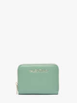 Portefeuille Valentino Groen clio re VPS9G137