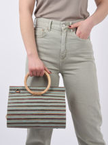 Handtas Eclipte Raphia Woomen Blauw erable WERA02-vue-porte