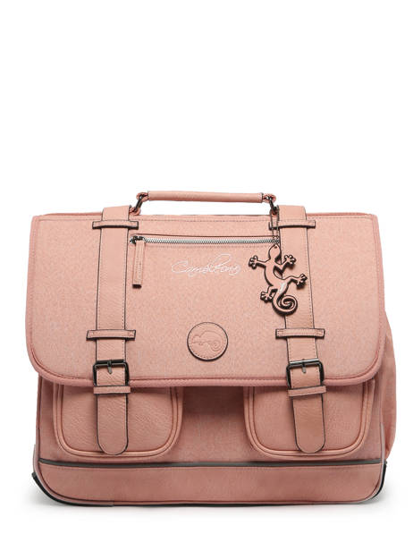Boekentas 3 Compartimenten Cameleon Roze vintage color VIC-CA41 ander zicht 7