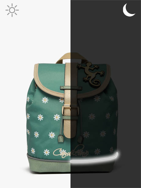 Rugzak 1 Compartiment Cameleon Groen vintage fantasy SD25 ander zicht 7