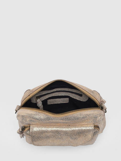 Cross Body Tas Naina Leder Pieces Goud naina 17063358 ander zicht 3